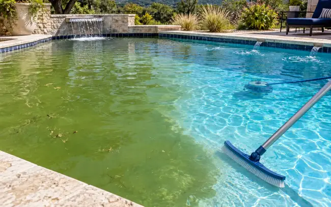 Green residential pool being restored to clear blue water